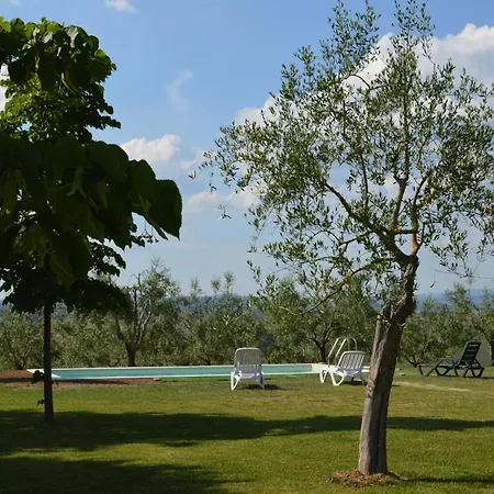 Leonina * Siena
